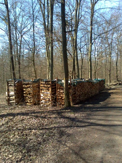Holzverarbeitung